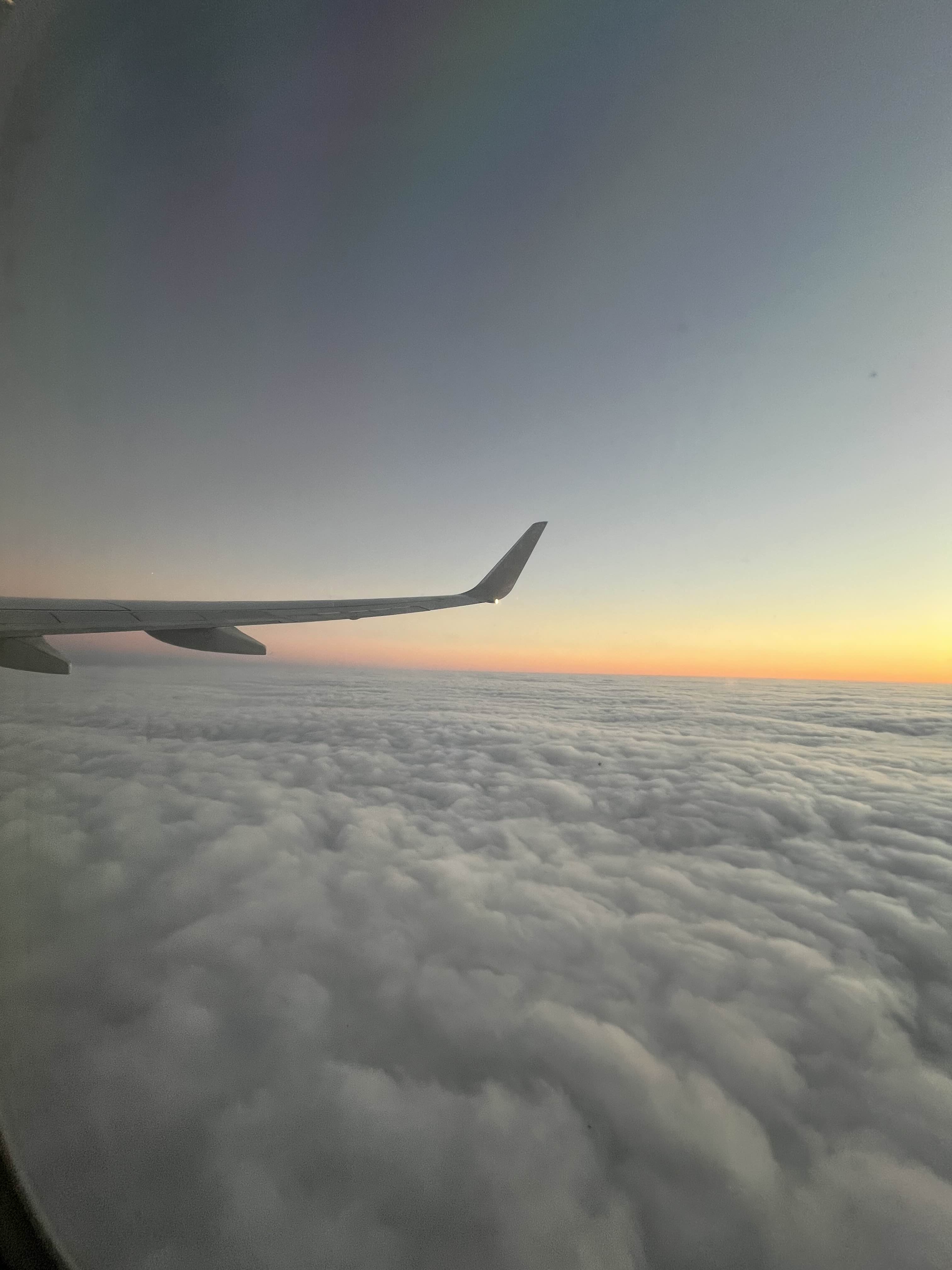 Flight view